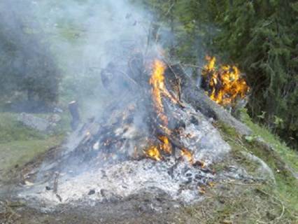 Feuer-auf-Stock